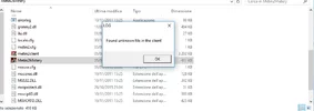 Immagine.webp