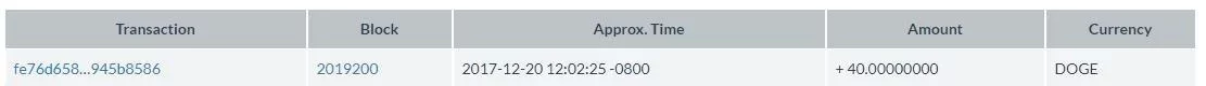 doge transazione.webp