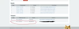 prova 1.webp prova 1.webp