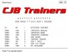 Cube World Trainer Image.jpg
