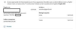 immagine13.webp
