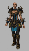 warrior03.gif