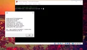 Capture.webp
