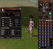 Lady2.webp