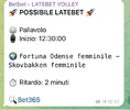 4.webp