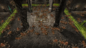 ezgif.com-video-to-gif (1) (1).gif